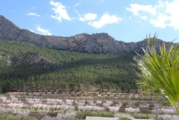 особняк в мурсии 4.jpg