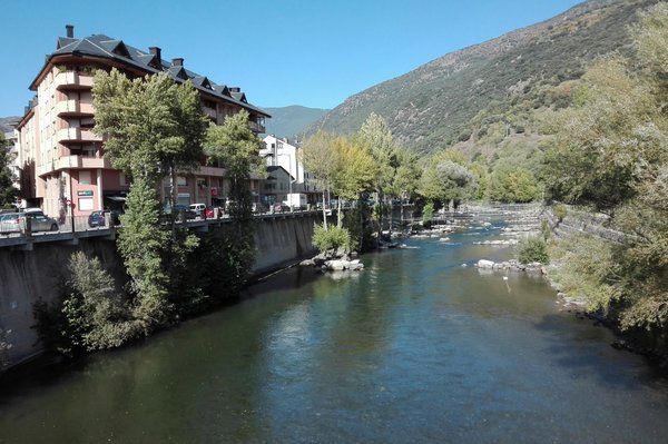 сорт город 3.jpg