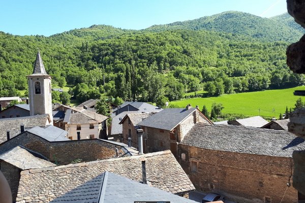 сорт город 2.jpg