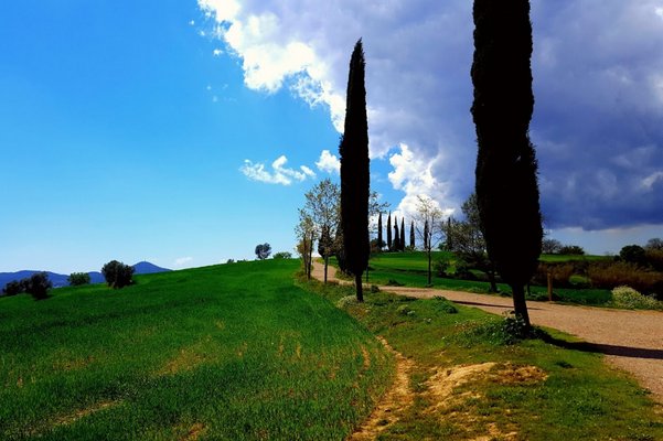 руби испания 2.jpg