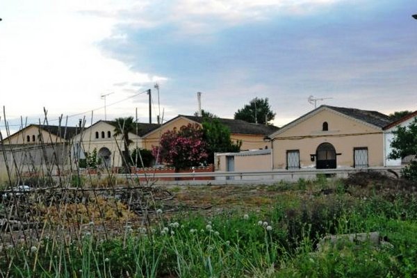 альгуайре 8.jpg