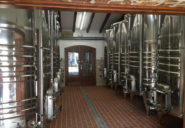 бодега испания, marc 3.jpg