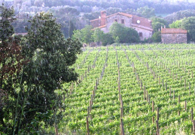 бодега испания, sota els angels 3.jpg