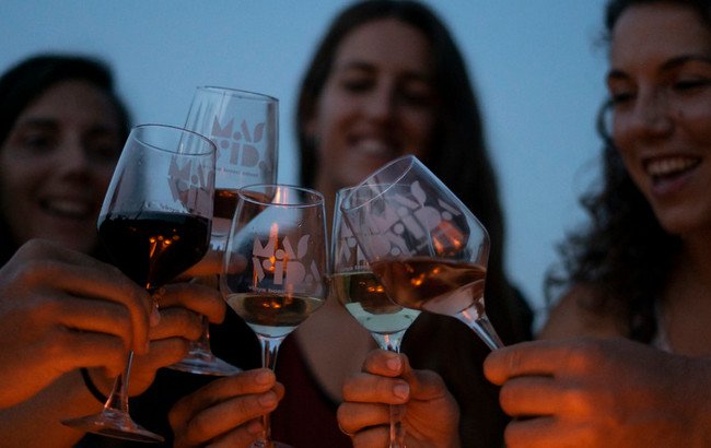 бодега испания, mas vida4.jpg