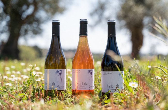 бодега испания, viníric 4.jpg