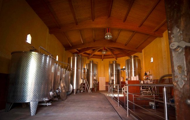 бодега испания, mas vida2.jpg