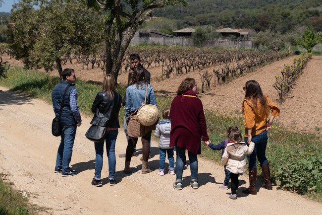 бодега испания, viníric 2.jpg