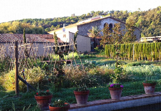 бодега испания, sota els angels 4.jpg