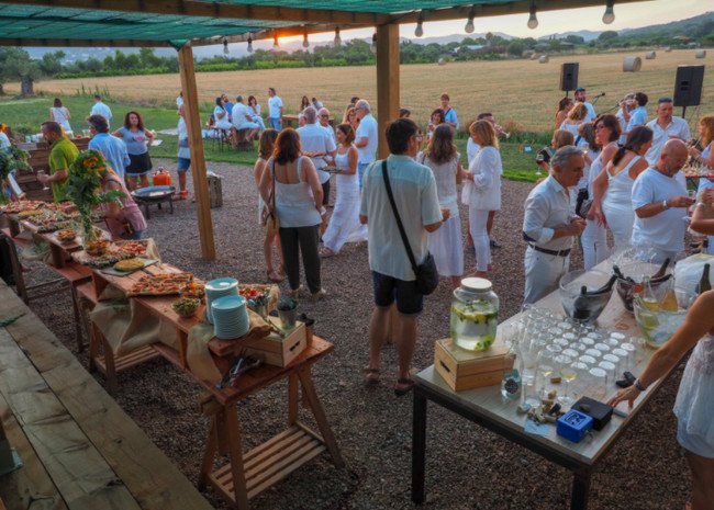 бодега испания, viníric 3.jpg