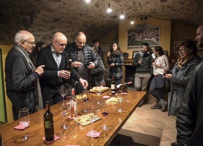 бодега испания, pere guardiola 4.jpg