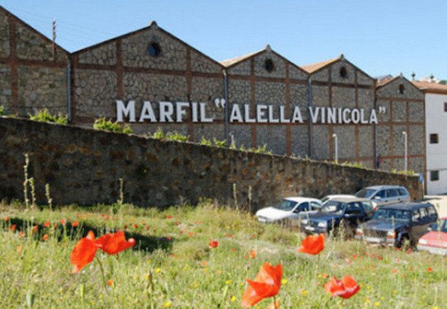 винодельни, alella vinícola.jpg