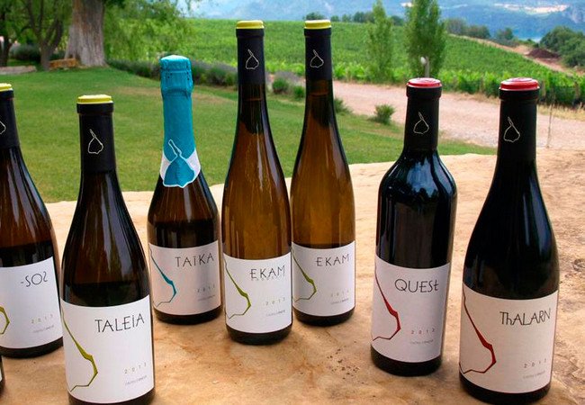 винодельни, celler castell d'encus.jpg