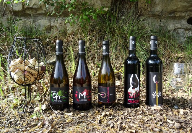 винодельни, celler matallonga.jpg