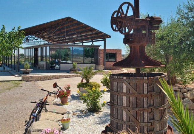 винодельни, vinya els vilars.jpg