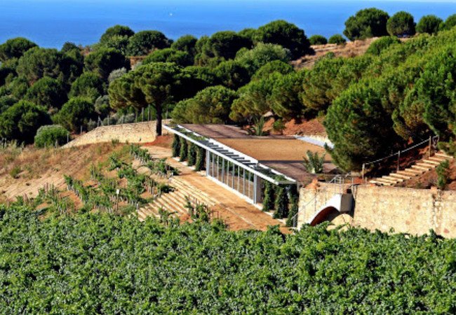 винодельни, alta alella.jpg