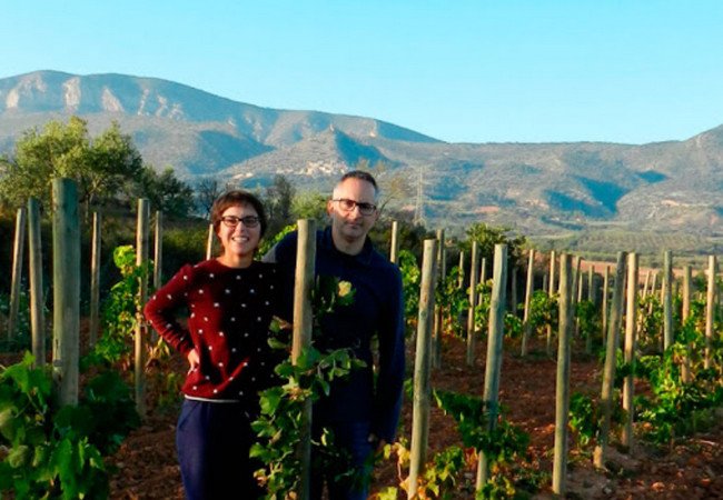 винодельни, terrer de pallars.jpg