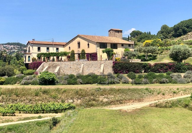 винодельни, bouquet alella.jpg