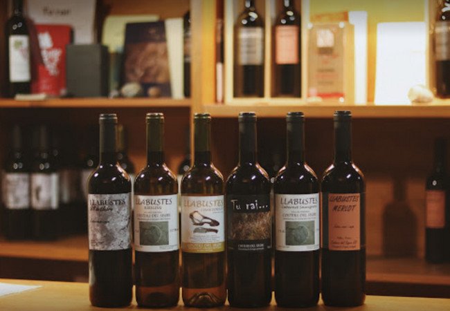 винодельни, celler vila corona.jpg