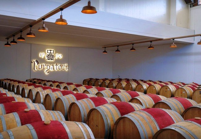 винодельни, celler purgatori familia torres.jpg