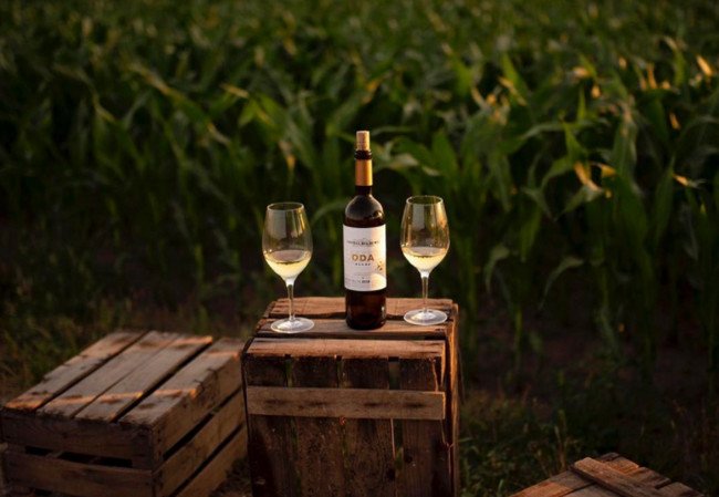 винодельни, castell del remei.jpg