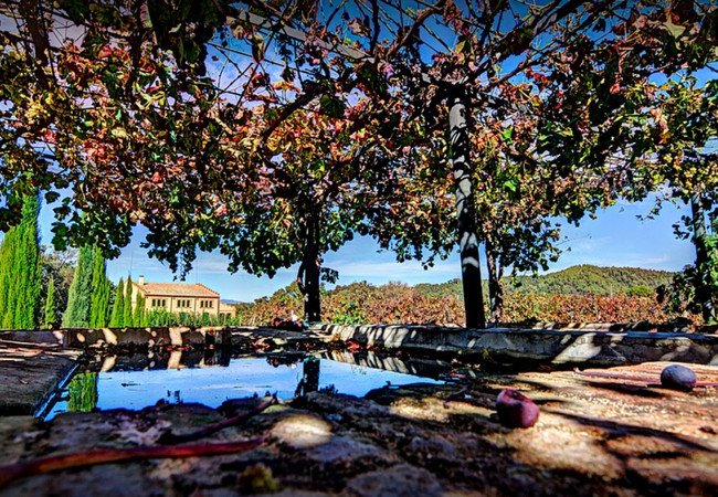 винодельни, can roda.jpg