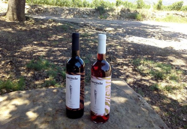 винодельни, el vinyer.jpg