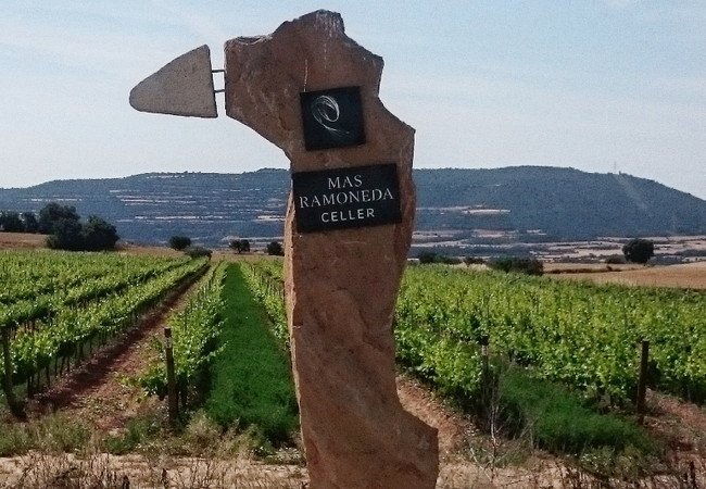 винодельни, celler mas ramoneda.jpg