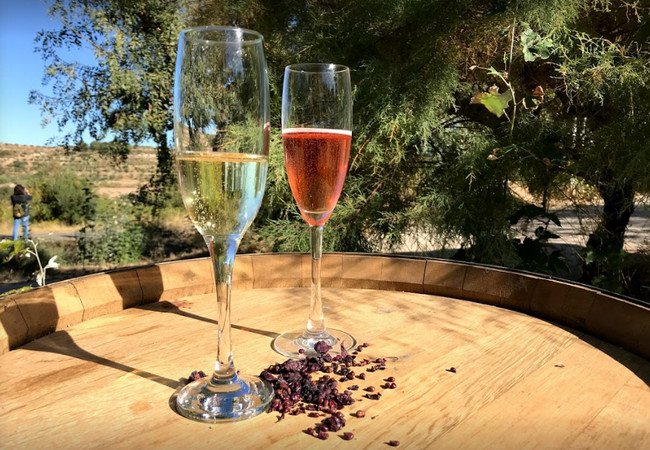 винодельни, celler analec.jpg