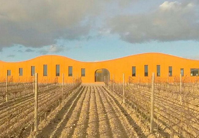 винодельни, celler boldú viticultors.jpg