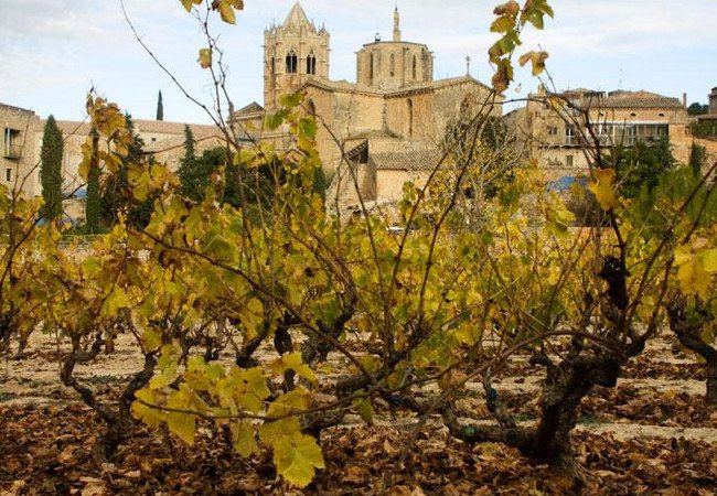 винодельни, l'olivera.jpg