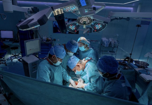 Подробнее о "Испания по-прежнему занимает первую позицию в мире по количеству трансплантаций"