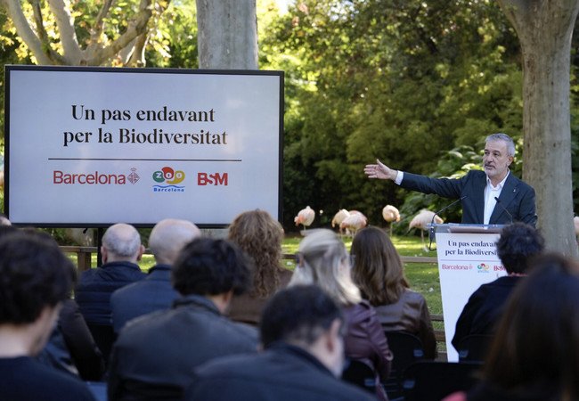 Подробнее о "Барселонский зоопарк готовится к кардинальным переменам!"