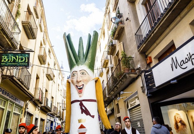 Подробнее о "В Valls пройдёт Gran Festa de la Calçotada — главный гастрономический праздник Каталонии"