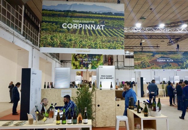 Подробнее о "Барселона примет одну из крупнейших международных встреч винодельческого сектора"